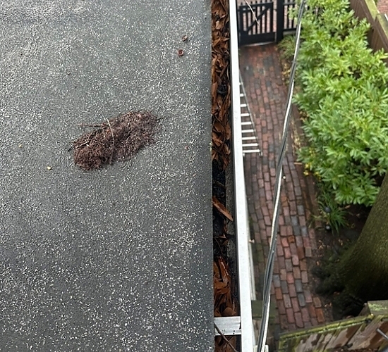 Alexandria Old Town roofing project image 3