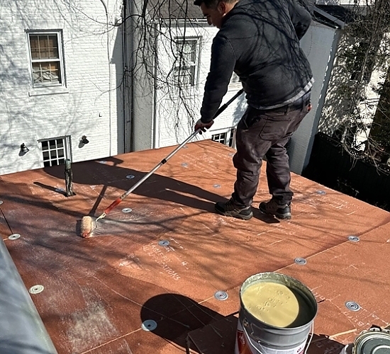 Alexandria Old Town roofing project image 34