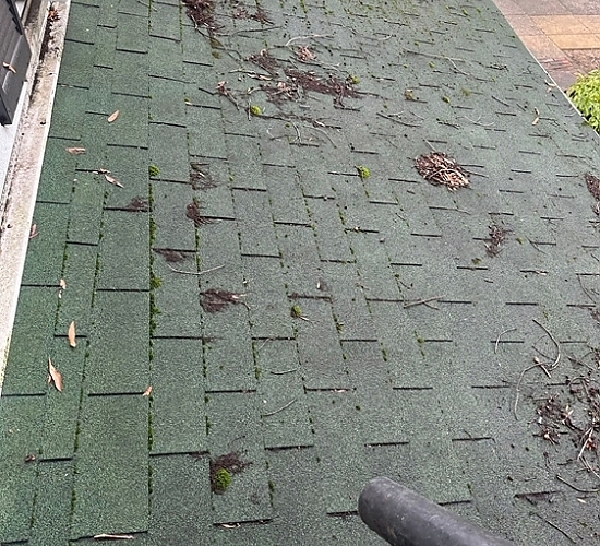 Alexandria Old Town roofing project image 5