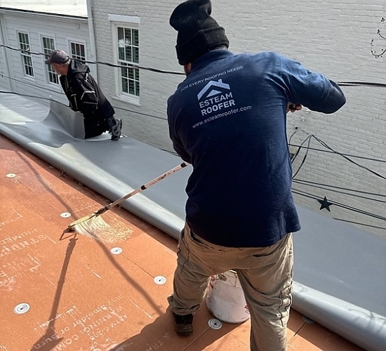 Alexandria Old Town roofing project image 4