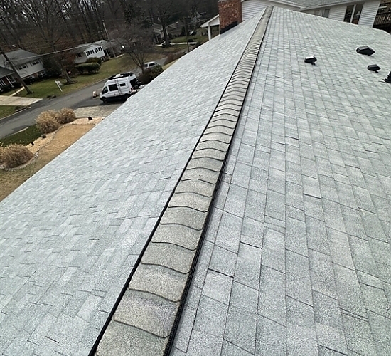Annandale roofing project image 15