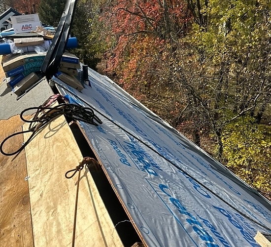 Vienna roofing project image 9